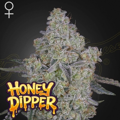 Green House Seed Honey Dipper semena neobsahují THC 1 ks