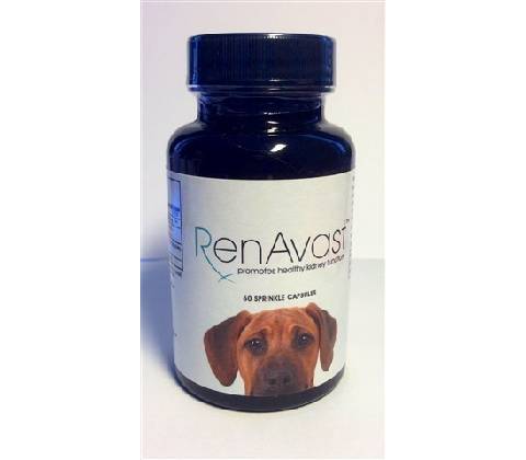 RenAvast Dog 60 tbl