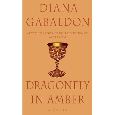 Dragonfly in Amber