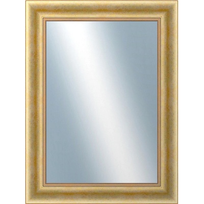 DANTIK Křídlo 60x80 cm zlaté 2772