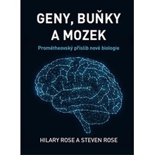 Geny, buňky a mozek