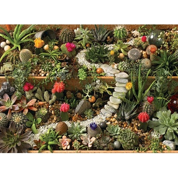 Image 1 of Cobble Hill - Puzzle Succulent Garden - 1 000 piese