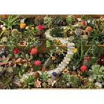 Cobble Hill - Puzzle Succulent Garden - 1 000 piese