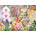Cobble Hill - Puzzle Hummingbird Magic 500 XXL - 500 piese