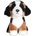 Dubi Bernenski dog 19cm