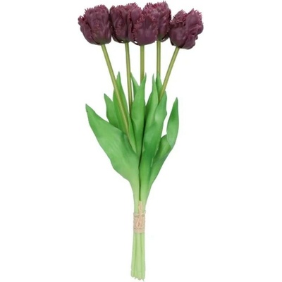 Kytica 5ks fialových realistických tulipánov Tulips Papagayo - 39 cm - daan kromhout