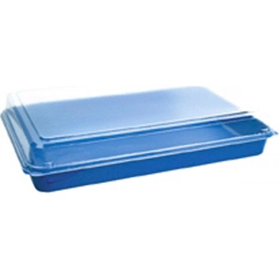DUNI krabička lunch PS blue transparentná 272 × 188x53 mm