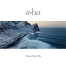 A-ha - True North - Premium Edition Hardcoverbook 40 Inner Pages LP