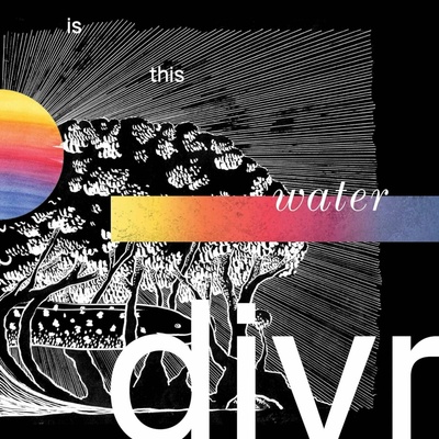 DIVR - IS THIS WATER CD
