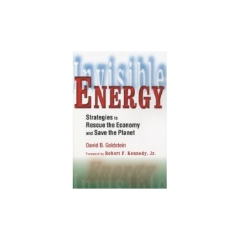 Invisible Energy - Goldstein David B.
