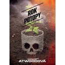 Rok potopy