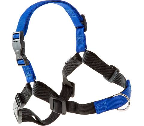 Ferplast postroj COACH P