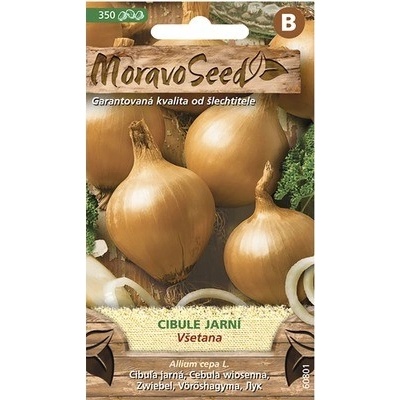 Cibule jarní žlutá VŠETANA MoravoSeed