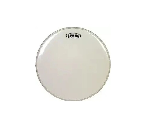 Evans TT10G1