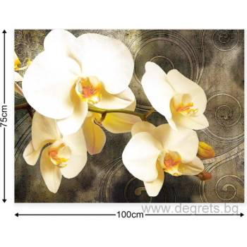 Картина Канава Орхидея 2