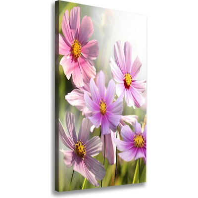 Vertikálny foto obraz canvas Poľné kvety 50x100 cm