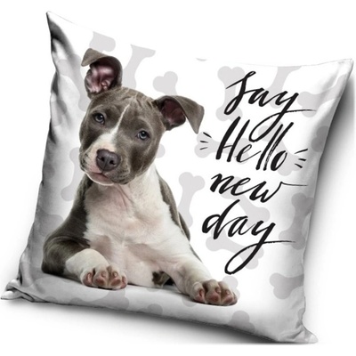 Carbotex Vankúš s Pitbullom motív Say hello New day Pozdrav nový deň 40x40