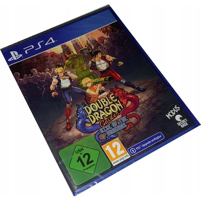 Double Dragon Gaiden: Rise of the Dragons