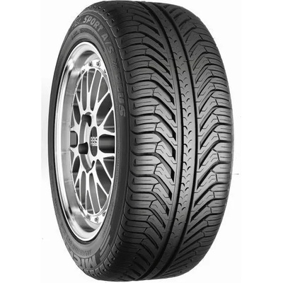 Michelin Pilot Sport A/S Plus GRNX 255/45 R19 100V