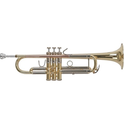 Bach TR450 – Zbozi.Blesk.cz