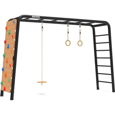 BERG PlayBase Large TL Disc swing+Rings+Climbing wall