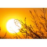 DIMEX ART Флизелинов фототапет есенен залез 375 x 250 см