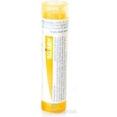 Ailanthus Glandulosa gra.1 x 4 g 15CH