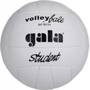 Volejbalové míče Gala Student BP 5033 S