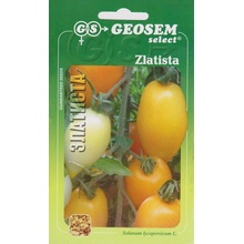 Rajčiak kolíkový GS Zlatista - oranžovo žltý, chutný, oválne plody 0,2g