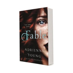 Fable (ISBN: 9781250376671)