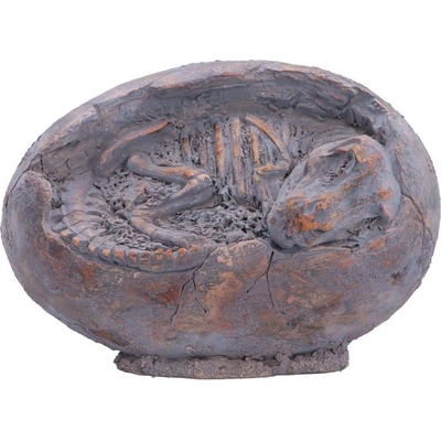Nemesis Now Статуетка Nemesis Now Adult: Dinosaurs - Tyrannosaurus Rex Egg, 13.3 cm (D7555B26)