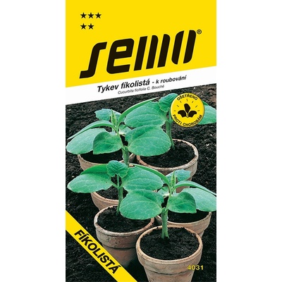SEMO SEMO Tykev k roubování - fíkolistá 15s