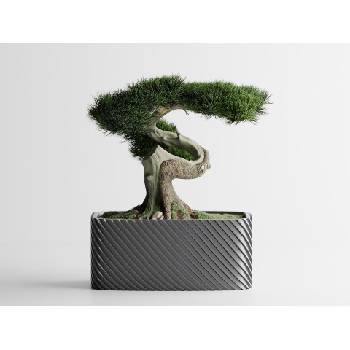 Кашпа Bonzai малка сребърен