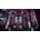 Algo Bot