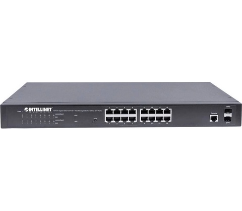 Intellinet 561341