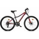 MAYO XC BASIC D 2026