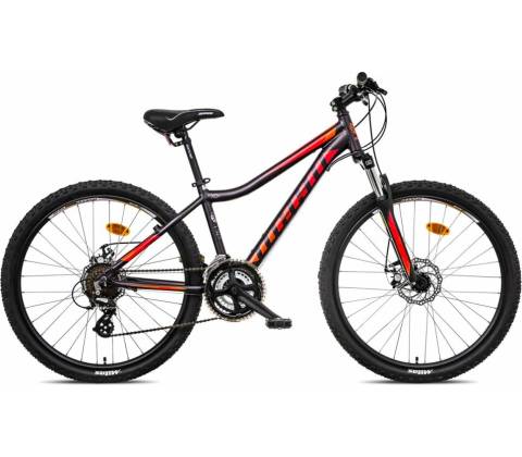 MAYO XC BASIC D 2026