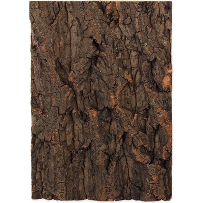 Repti Planet korkové pozadí přírodní 19 x 27,3 cm – Zbozi.Blesk.cz