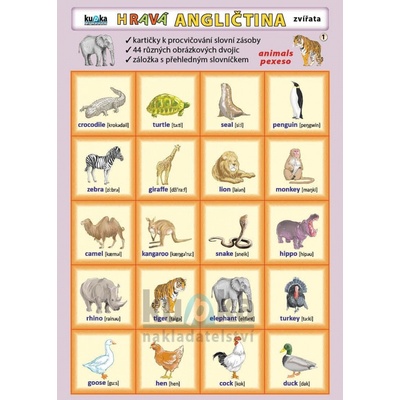 Hravá angličtina 1 - Zvířata - Kupka Petr a kolektiv