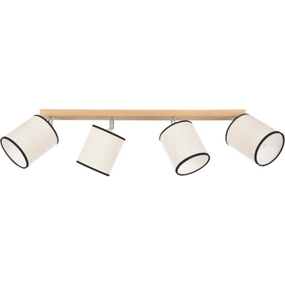 Spot-Light 66791474
