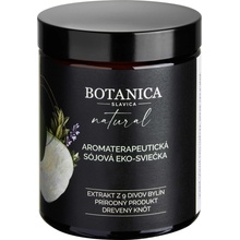 BOTANICA SLAVICA 9 DIVŮ BYLIN 210 ml