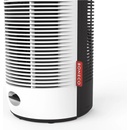 Boneco P370