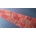 OSTA ROYAL PATCHWORK red
