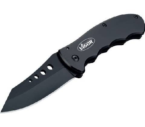 Vigor V4651