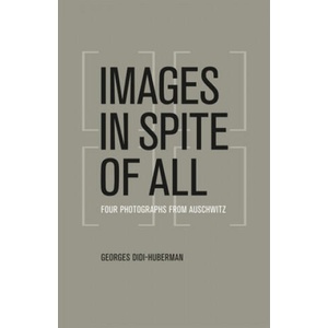 Images in Spite of All | Georges Didi-Huberman (ISBN: 9780226148175)