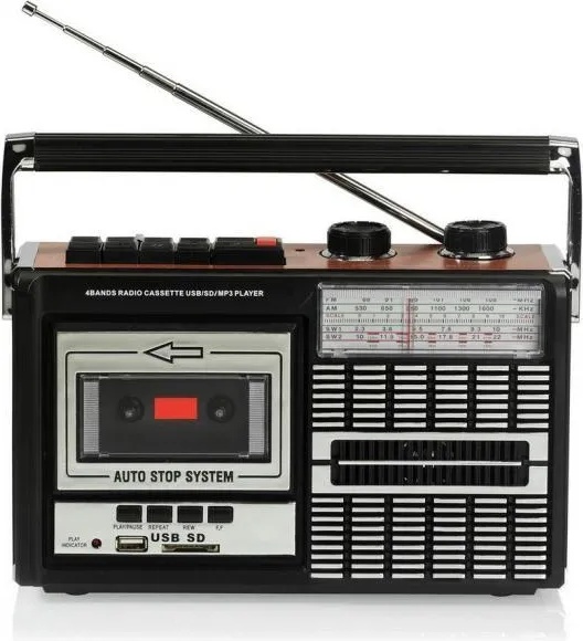 Ricatech PR85