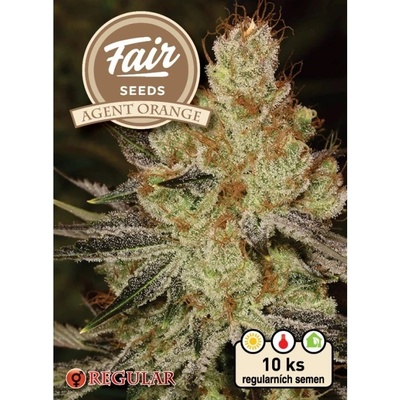 Fair Seeds Agent Orange regular semena neobsahují THC 10 ks