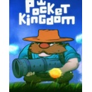 Pocket Kingdom
