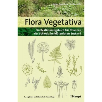 Flora Vegetativa