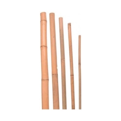 BAMBUS TYČ 240CM